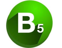 vitamina b5