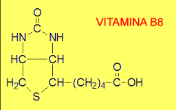 vitamina b8