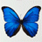 Avatar di Evelyn