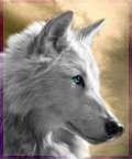 Avatar di Claudio.S